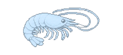 European Cave Shrimp
