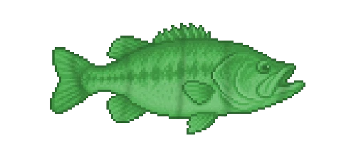 Largemouth Bass
