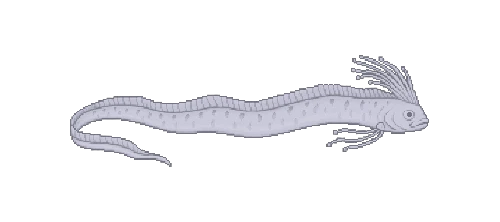 Oarfish